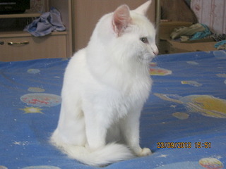 click for enlarge 1920 X 1440 513.3 Kb picture