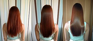 click for enlarge 807 X 358  53.8 Kb picture