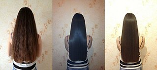 click for enlarge 807 X 359  53.4 Kb picture