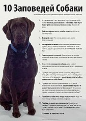 click for enlarge 427 X 604  64.2 Kb picture