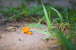 click for enlarge 1920 X 1276 209.8 Kb picture