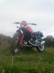 click for enlarge 1200 X 1600 164.5 Kb picture