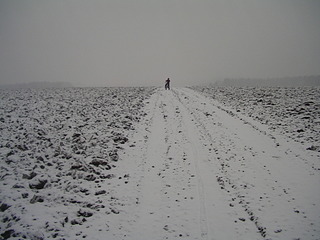 click for enlarge 1920 X 1440 519.8 Kb picture