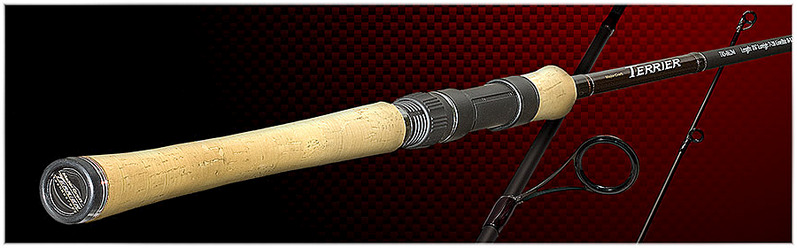 click for enlarge 900 X 280  87.3 Kb picture