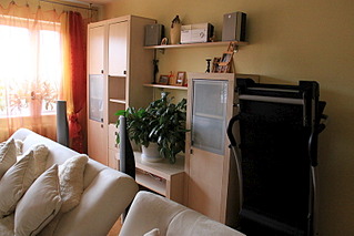 click for enlarge 800 X 533 138.9 Kb picture