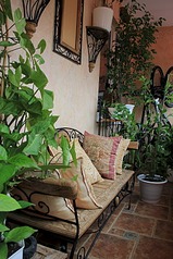 click for enlarge 533 X 800 215.6 Kb picture