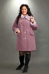 click for enlarge 310 X 465 77.9 Kb picture