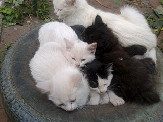 click for enlarge 807 X 605 74.3 Kb picture