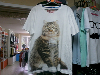 click for enlarge 1920 X 1440 164.4 Kb picture