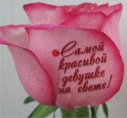 click for enlarge 600 X 558  52.1 Kb picture