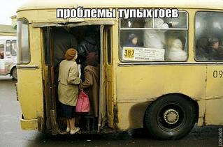 click for enlarge 600 X 397 37.3 Kb picture