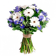 click for enlarge 348 X 348 27.2 Kb picture