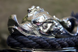 click for enlarge 1296 X 864 283.9 Kb picture