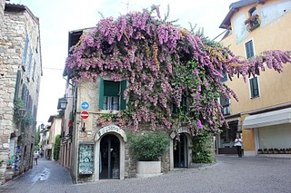 click for enlarge 864 X 576 298.8 Kb picture