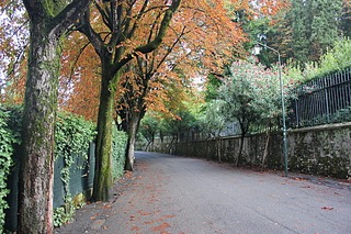 click for enlarge 864 X 576 355.1 Kb picture