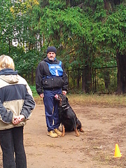 click for enlarge 1920 X 2560 579.9 Kb picture