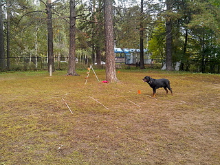 click for enlarge 1920 X 1440 657.7 Kb picture