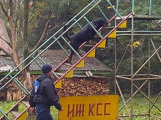 click for enlarge 1920 X 1440 994.5 Kb picture