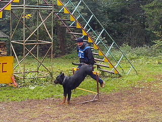 click for enlarge 1920 X 1440 458.4 Kb picture