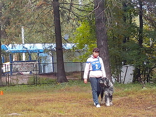 click for enlarge 1920 X 1440 1013.2 Kb picture