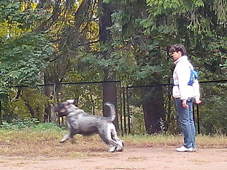 click for enlarge 1920 X 1440 750.5 Kb picture