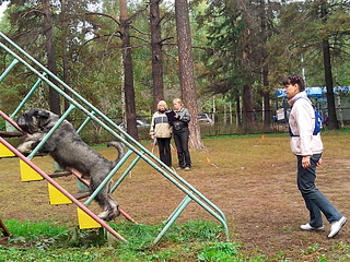 click for enlarge 1920 X 1440 491.9 Kb picture