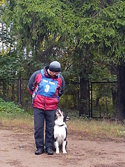 click for enlarge 1920 X 2560 531.5 Kb picture