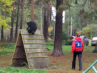 click for enlarge 1920 X 1440 414.7 Kb picture