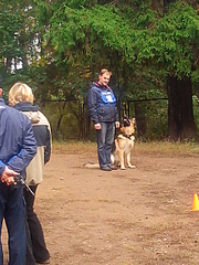 click for enlarge 1920 X 2560 492.7 Kb picture