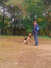 click for enlarge 1920 X 2560 615.4 Kb picture