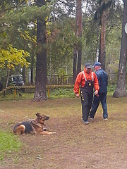 click for enlarge 1920 X 2560 490.4 Kb picture