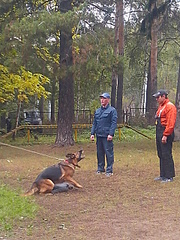 click for enlarge 1920 X 2560 502.9 Kb picture