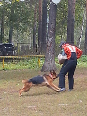 click for enlarge 1920 X 2560 371.8 Kb picture