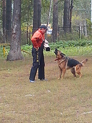 click for enlarge 1920 X 2560 377.8 Kb picture