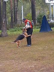 click for enlarge 1920 X 2560 380.7 Kb picture