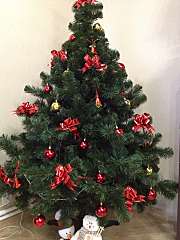 click for enlarge 1440 X 1920 308.9 Kb picture