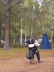 click for enlarge 1920 X 2560 396.8 Kb picture