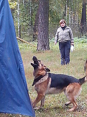 click for enlarge 1920 X 2560 394.6 Kb picture