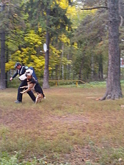 click for enlarge 1920 X 2560 521.4 Kb picture