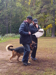 click for enlarge 1920 X 2560 637.6 Kb picture