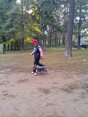 click for enlarge 1920 X 2560 862.2 Kb picture