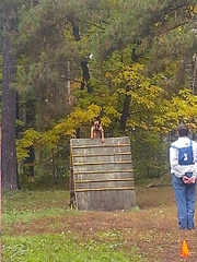 click for enlarge 1920 X 2560 512.1 Kb picture