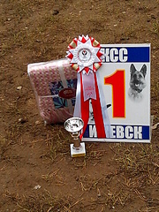 click for enlarge 1920 X 2560 559.6 Kb picture