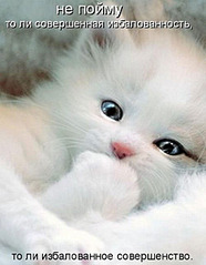 click for enlarge 500 X 642  39.4 Kb picture