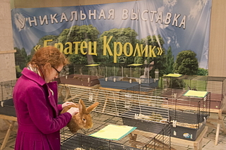 click for enlarge 1620 X 1080 226.2 Kb picture