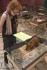 click for enlarge 720 X 1080 812.6 Kb picture