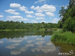 click for enlarge 448 X 336  23.3 Kb picture