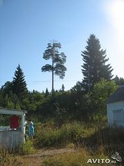 click for enlarge 336 X 448  22.1 Kb picture