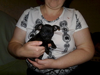 click for enlarge 1920 X 1440 577.5 Kb picture