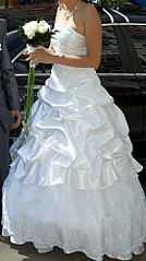 click for enlarge 280 X 500 63.1 Kb picture